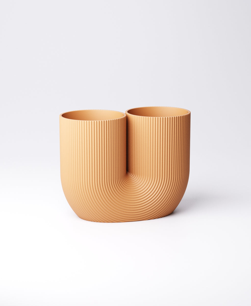 Double Vase