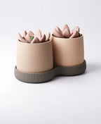 Duo Planter Type 2