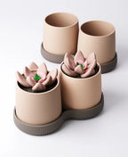 Duo Planter Type 2