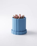 Large Ridged Planter with Drip Tray
