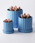 Large Ridged Planter with Drip Tray