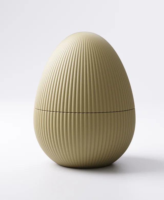 Locking Egg Container