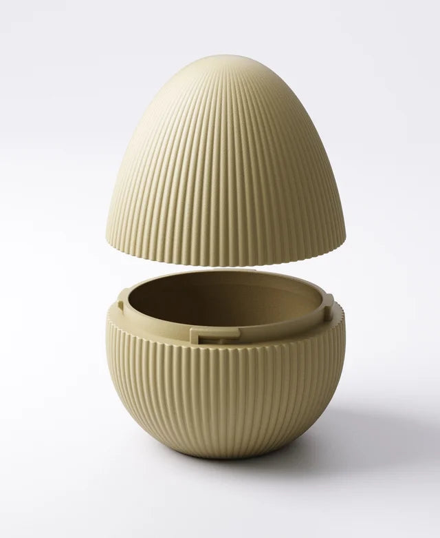 Locking Egg Container