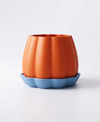 Pumpkin Planter