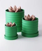Scalloped Planter with Drip Tray Type 2