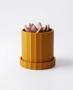 Scalloped Planter with Drip Tray 3 Sizes Included