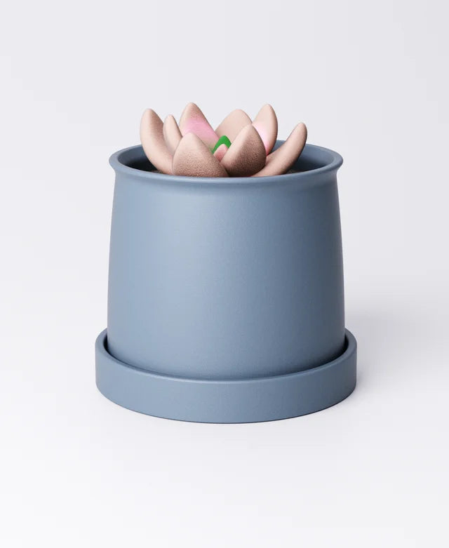 Small Curved Planter with Drip Tray