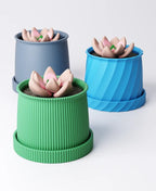 Small Curved Planter with Drip Tray