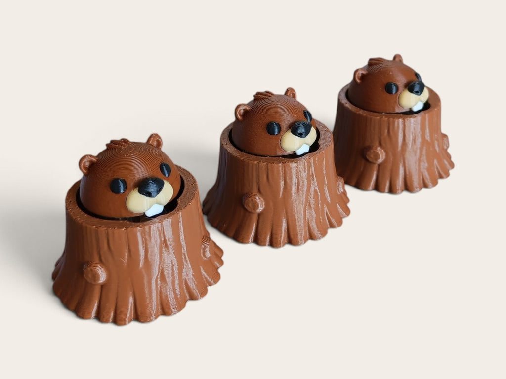 Beaver