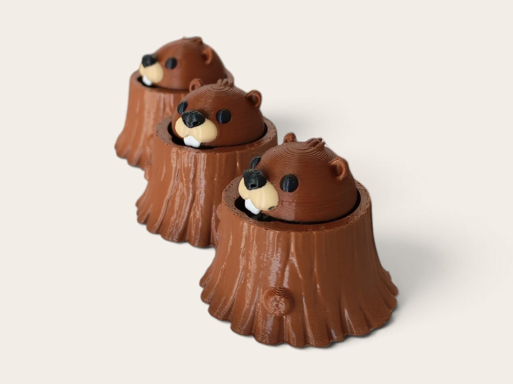 Beaver