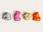 Animal Club