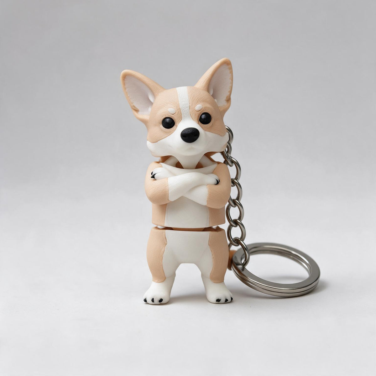 Corgi (Mini flexi)