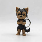 Yorkshire Terrier (Mini flexi)